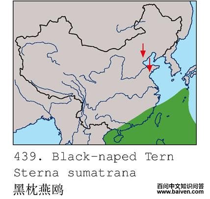 ������Ÿ�ĵ����ֲ�ͼ