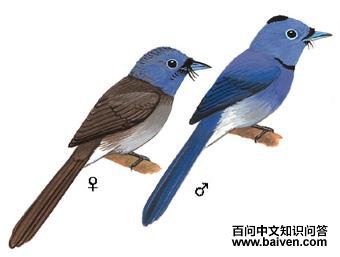 �������l��ͼ��