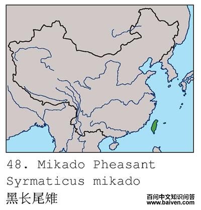 �ڳ�β���ĵ����ֲ�ͼ