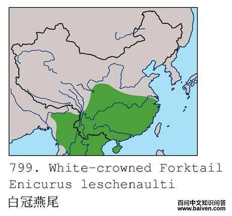 �׹���β�ĵ����ֲ�ͼ