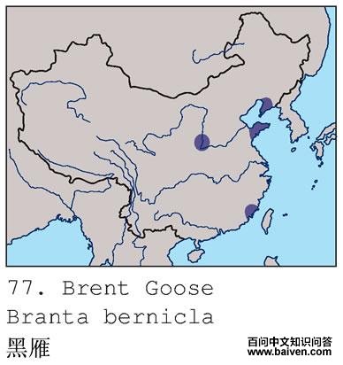 ����ĵ����ֲ�ͼ