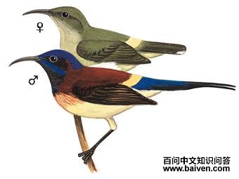 ����̫�����ͼ��