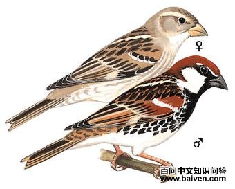 ������ȸ��ͼ��