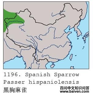 ������ȸ�ĵ����ֲ�ͼ