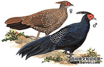 ���µ�ͼ��