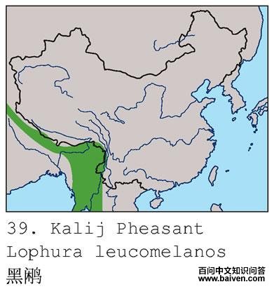 ���µĵ����ֲ�ͼ