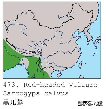 ��أ�յĵ����ֲ�ͼ