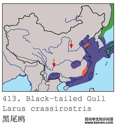 ��βŸ�ĵ����ֲ�ͼ