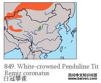 �׹���ȸ�ĵ����ֲ�ͼ