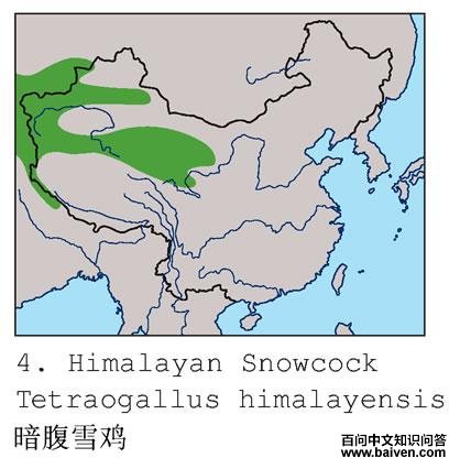 ����ѩ���ĵ����ֲ�ͼ