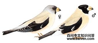 ��β����ȸ��ͼ��