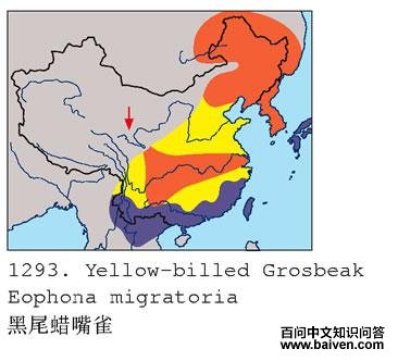 ��β����ȸ�ĵ����ֲ�ͼ