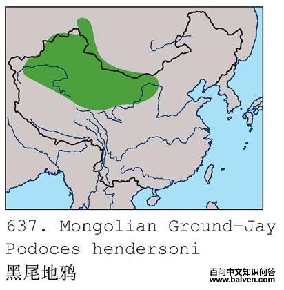 ��β��ѻ�ĵ����ֲ�ͼ