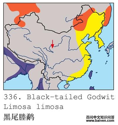 ��β���ֵĵ����ֲ�ͼ