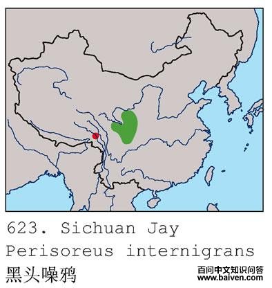 ��ͷ��ѻ�ĵ����ֲ�ͼ