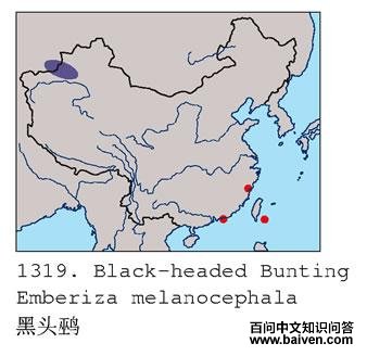 ��ͷ�c�ĵ����ֲ�ͼ