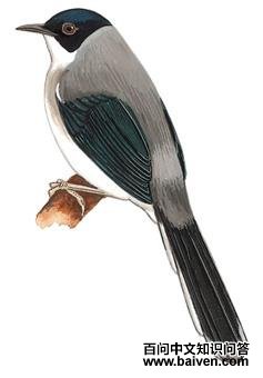 ��ͷ���̵�ͼ��