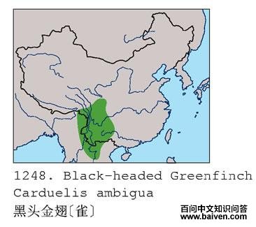 ��ͷ���[ȸ]�ĵ����ֲ�ͼ