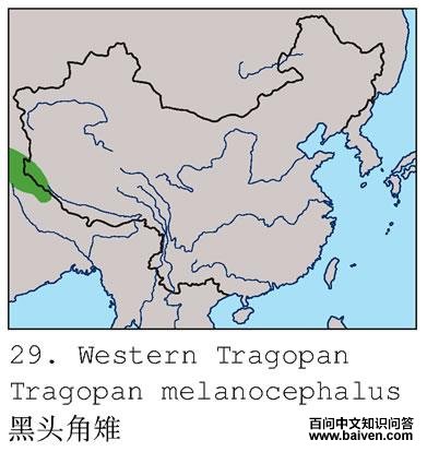 ��ͷ�����ĵ����ֲ�ͼ