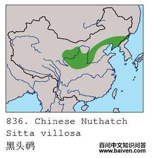 ��ͷ���ĵ����ֲ�ͼ