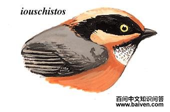 ��ͷ[��β]ɽȸ��ͼ��