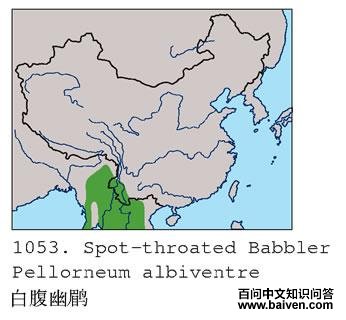 �׸����̵ĵ����ֲ�ͼ