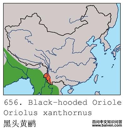 ��ͷ���ĵ����ֲ�ͼ