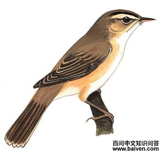 ��üέݺ��ͼ��