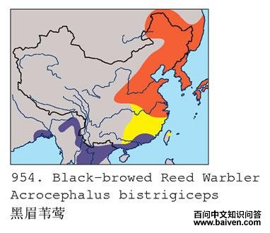 ��üέݺ�ĵ����ֲ�ͼ