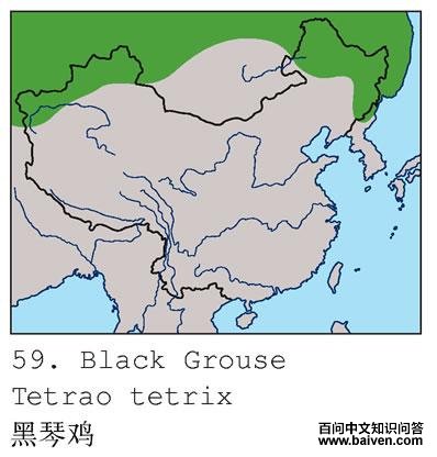 ���ټ��ĵ����ֲ�ͼ