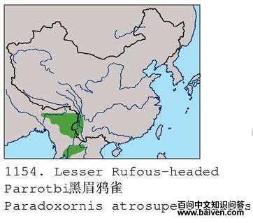 ��üѻȸ�ĵ����ֲ�ͼ