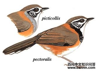 �������̵�ͼ��