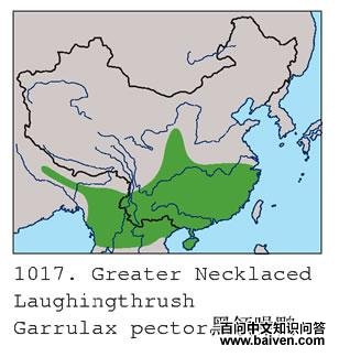 �������̵ĵ����ֲ�ͼ