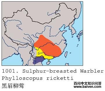 ��ü��ݺ�ĵ����ֲ�ͼ