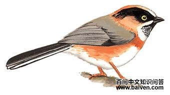 ��ü[��β]ɽȸ��ͼ��