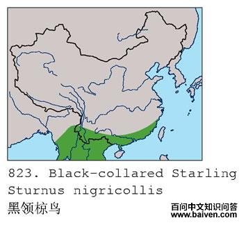 �������ĵ����ֲ�ͼ