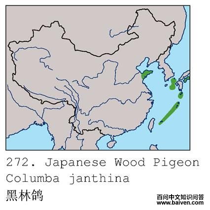 ���ָ�ĵ����ֲ�ͼ