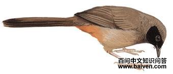 �������̵�ͼ��