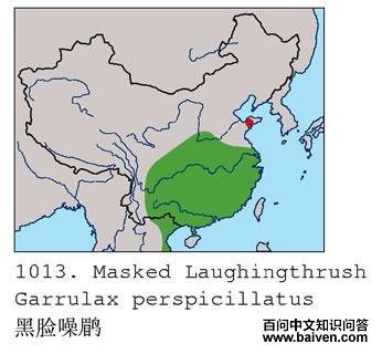 �������̵ĵ����ֲ�ͼ