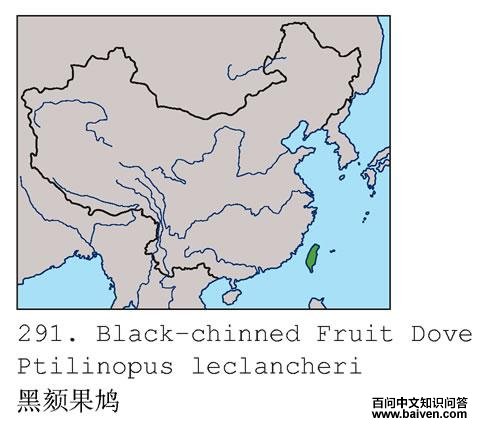 �����ĵ����ֲ�ͼ