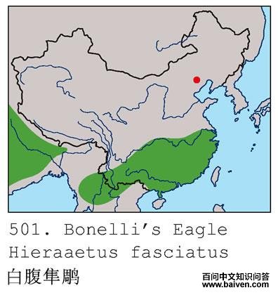 �׸�����ĵ����ֲ�ͼ