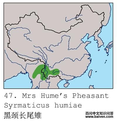 �ھ���β���ĵ����ֲ�ͼ