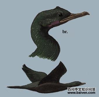 �ھ���˵�ͼ��