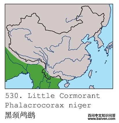 �ھ���˵ĵ����ֲ�ͼ