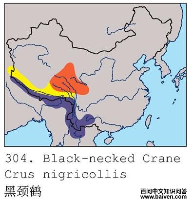 �ھ��׵ĵ����ֲ�ͼ