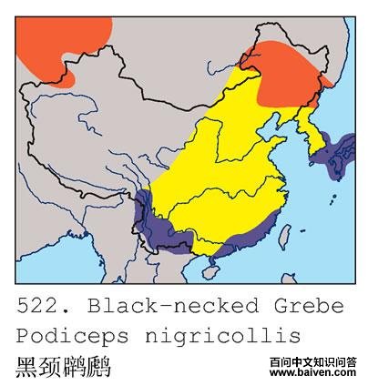 �ھ������ĵ����ֲ�ͼ