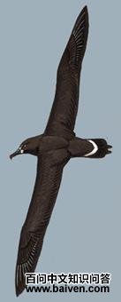 �ڽ������̵�ͼ��