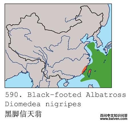 �ڽ������̵ĵ����ֲ�ͼ