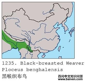 �ں�֯����ĵ����ֲ�ͼ