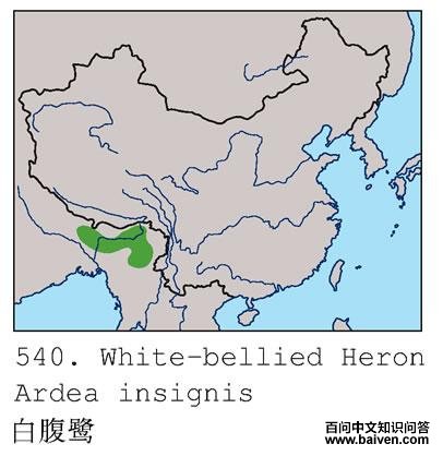 �׸��صĵ����ֲ�ͼ